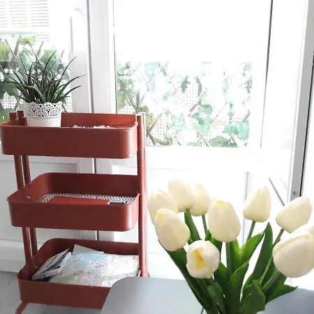 & Away In The Heart Of Historical Town Of Apartment