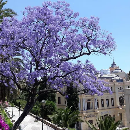 Apartment & Away In The Heart Of Historical Town Of *